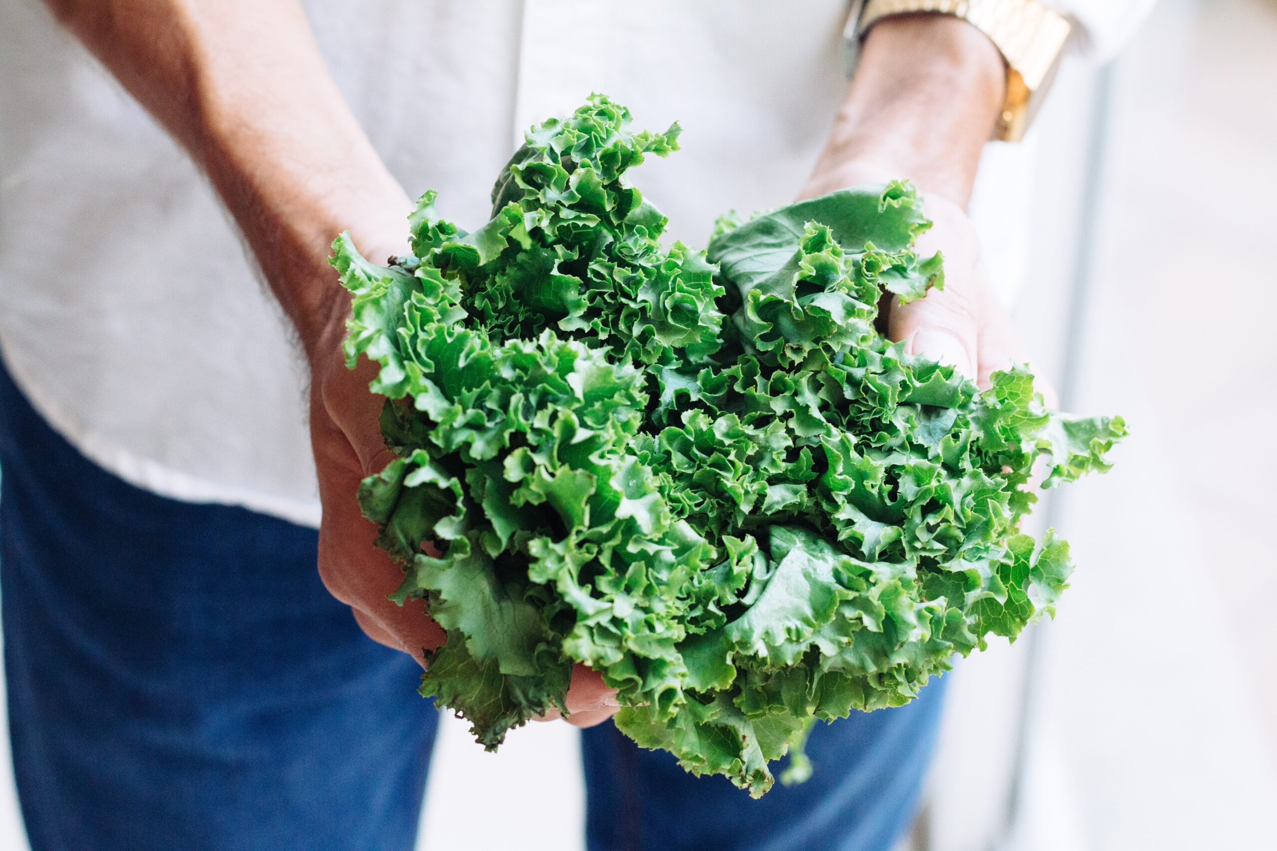 healthy kale